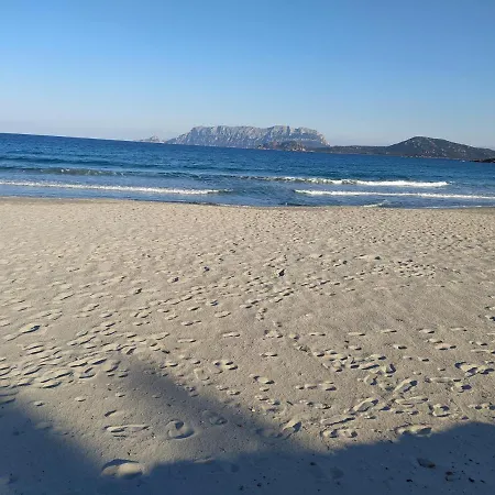 Antica Isola לינה וארוחת בוקר אולביה