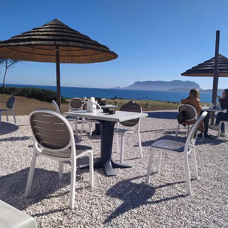 Antica Isola 3* אולביה