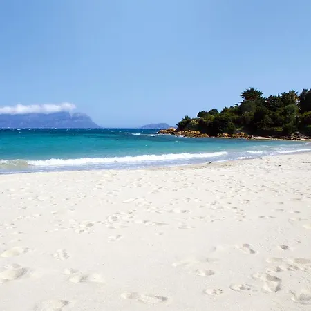 Antica Isola אולביה