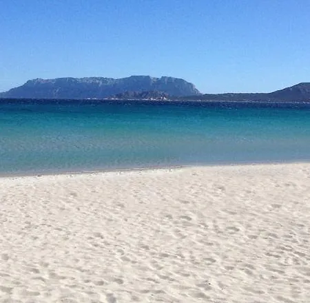 Antica Isola 3* Ольбія