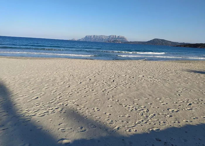 Antica Isola Alojamento de Acomodação e Pequeno-almoço Olbia